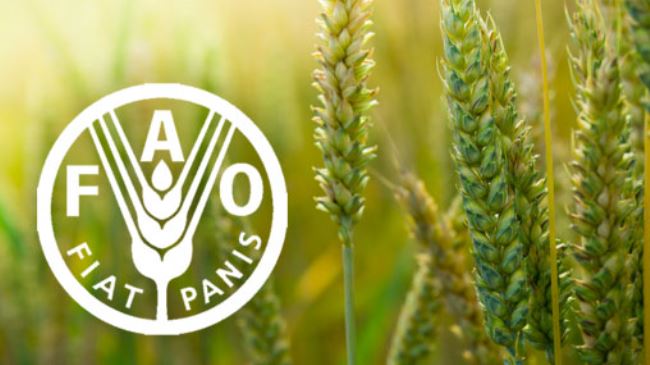 Food and Agriculture Organization
