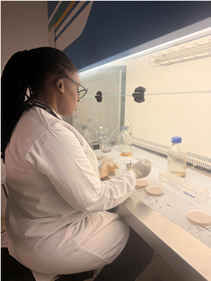 Drug Discovery