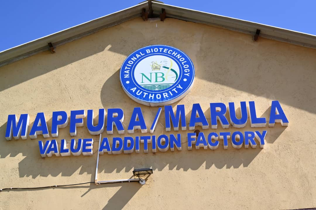 Mapfura Wine Launch